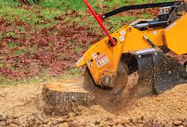 Best Utility Line Clearance  in Kelly Ridge, CA